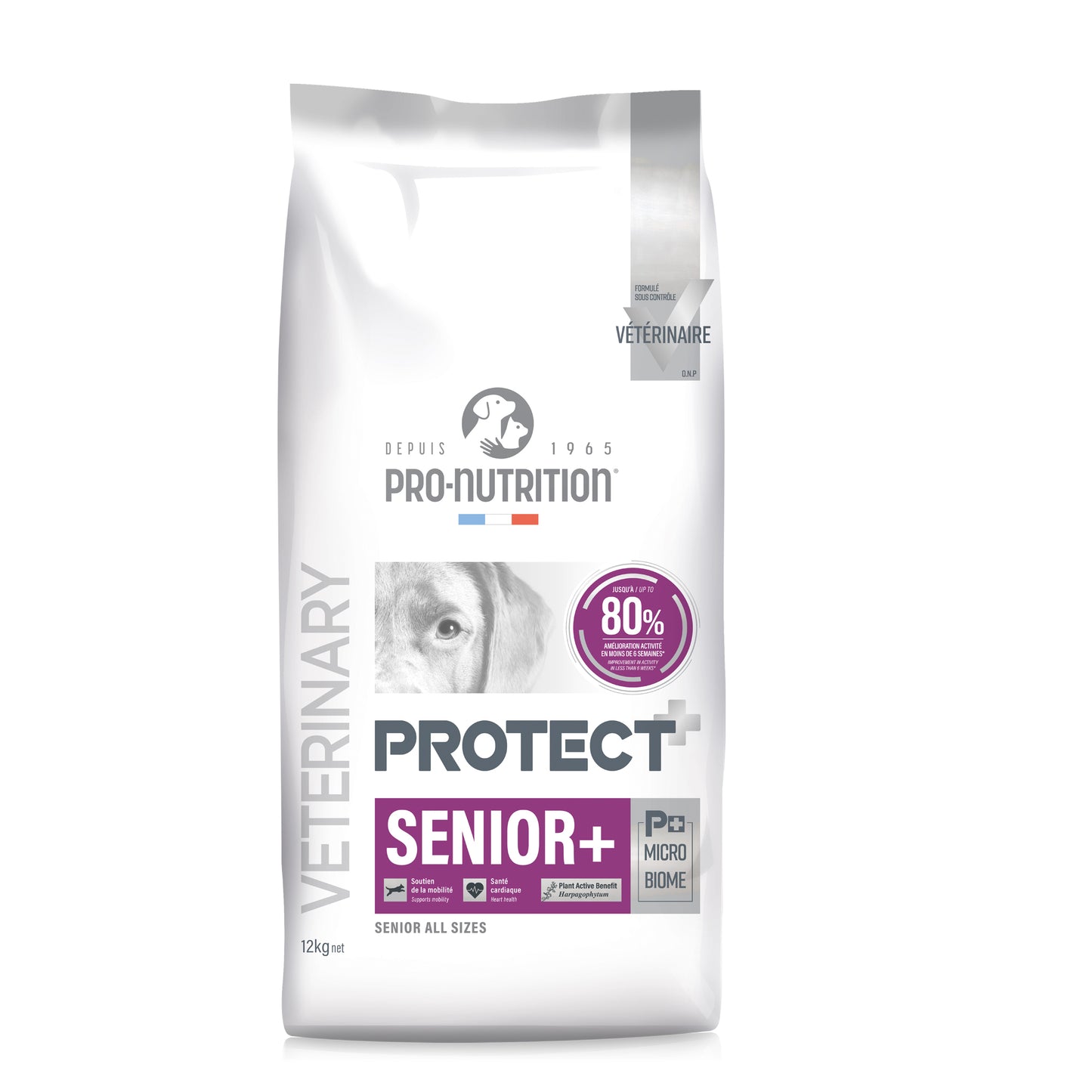 Protect Senior+ Canino 2 y 12 kilos