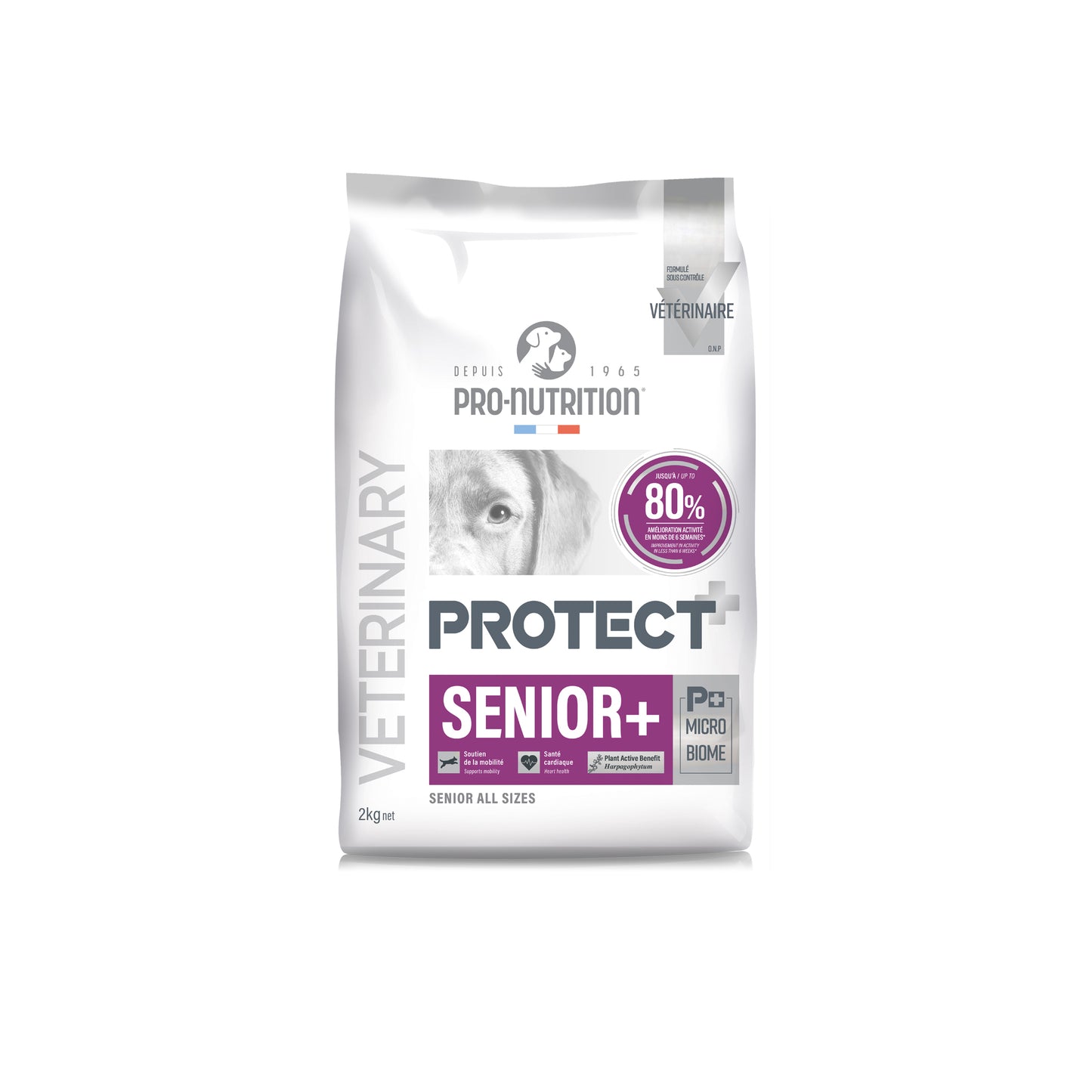 Protect Senior+ Canino 2 y 12 kilos
