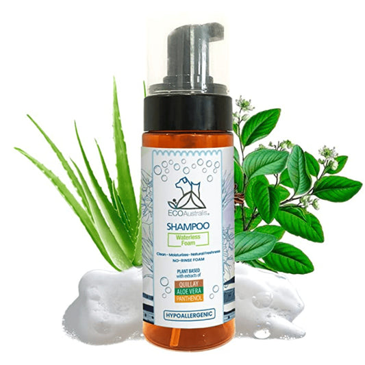 Shampoo sin enjuague Quillay Aloe y Pantenol 160ml