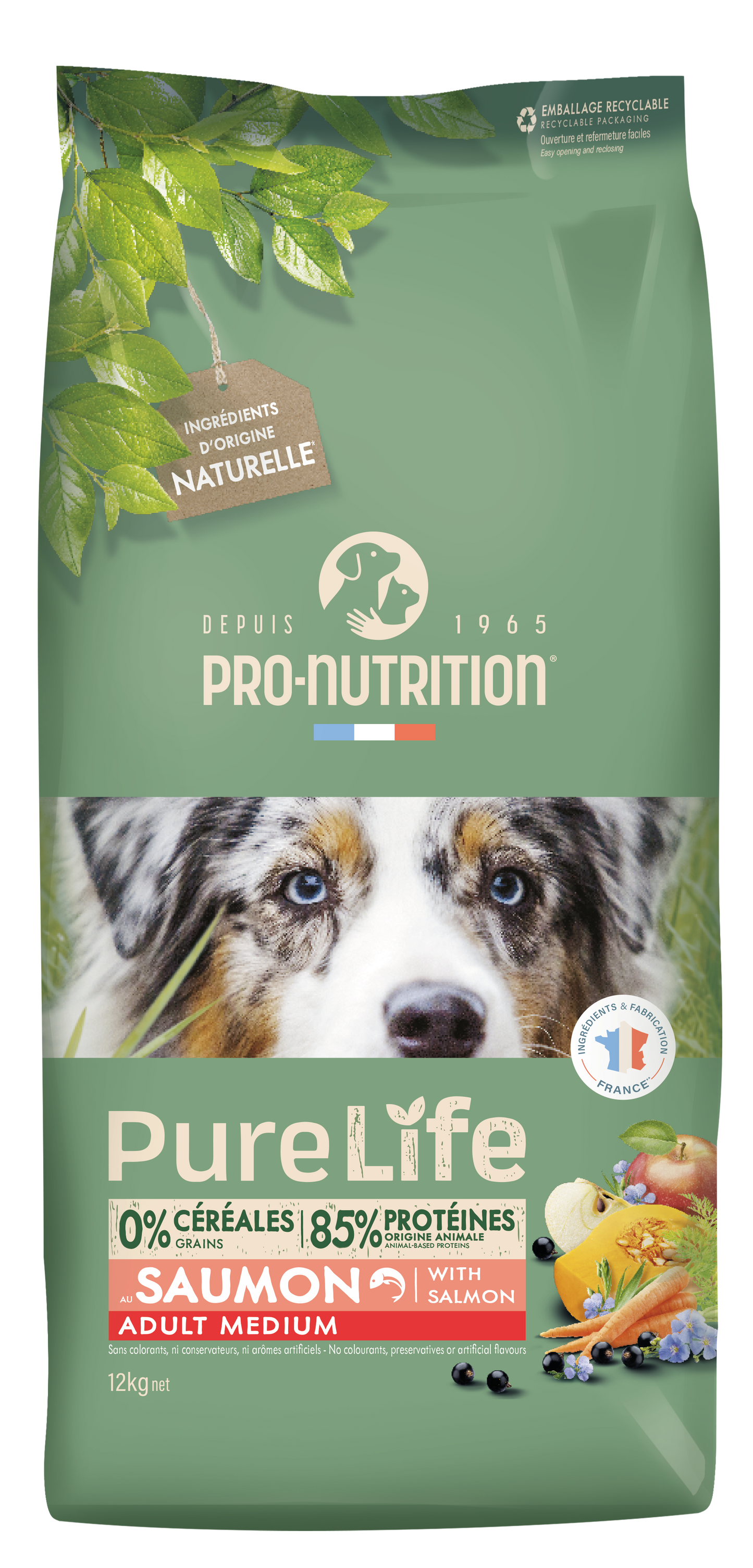Pure Life Adult Medium with Salmon 2 y12 kg