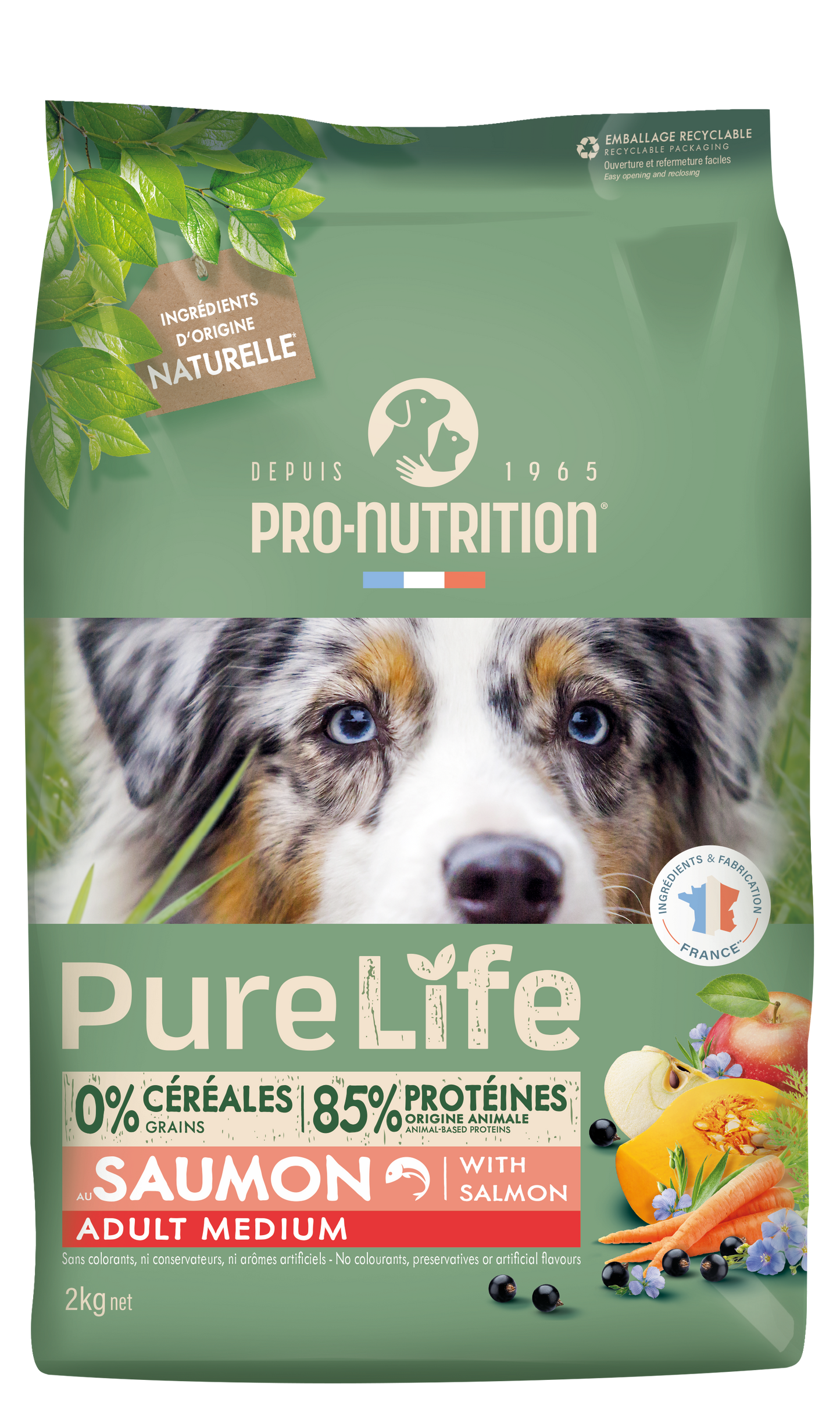 Pure Life Adult Medium with Salmon 2 y12 kg